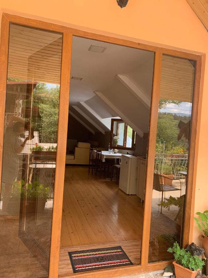 Anano'S Guesthouse ボルジョミ エクステリア 写真