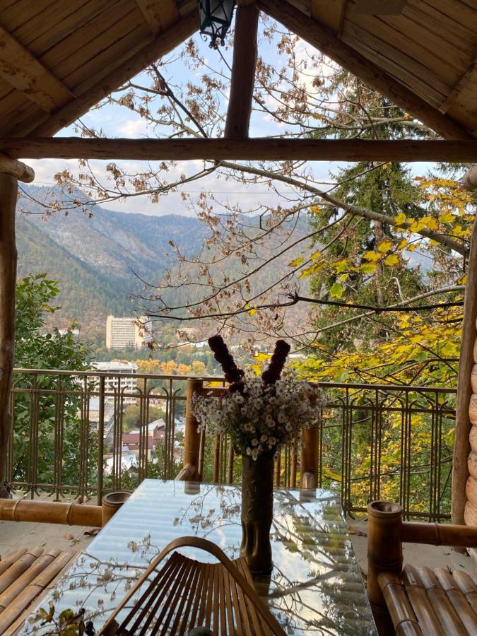 Anano'S Guesthouse ボルジョミ エクステリア 写真