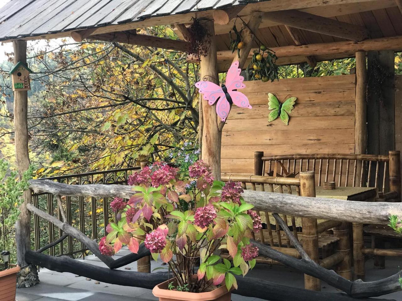 Anano'S Guesthouse ボルジョミ エクステリア 写真